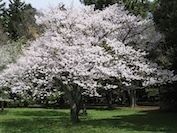 IMG_0905.JPG
